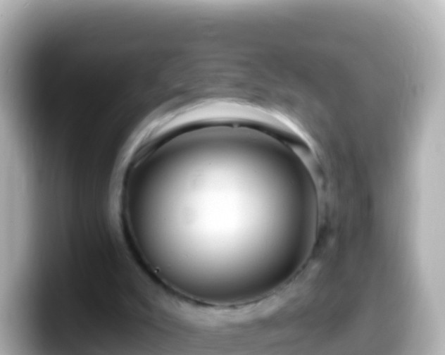 X0000099580007200805231600