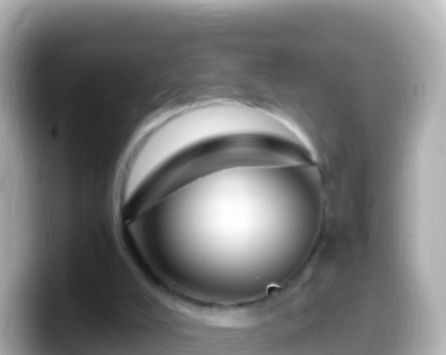 X0000099580008200805231600