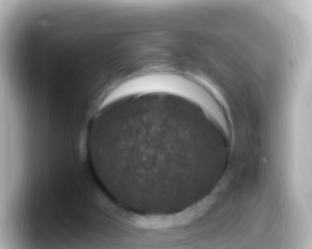 X0000099580009200805231600