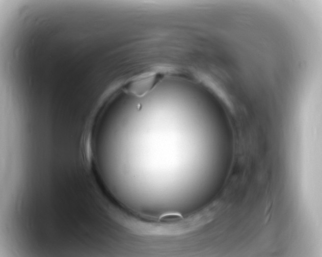 X0000099580011200805231600