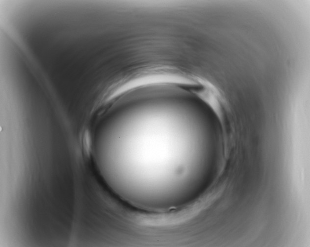 X0000099580013200805231600