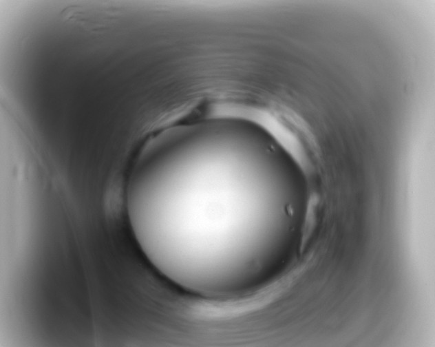 X0000099580017200805231600