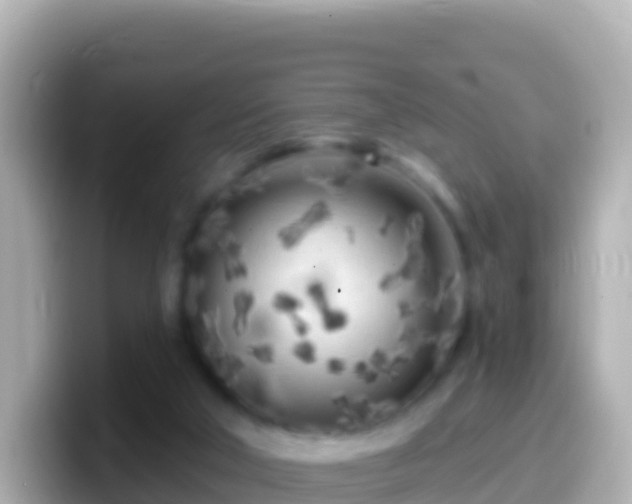 X0000099580018200805231600
