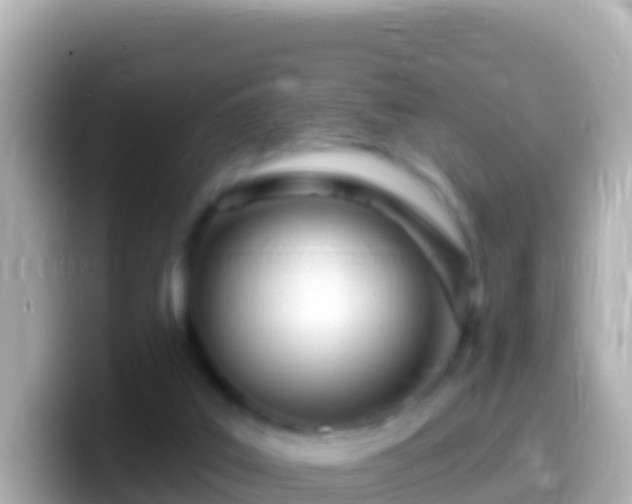 X0000099580019200805231600