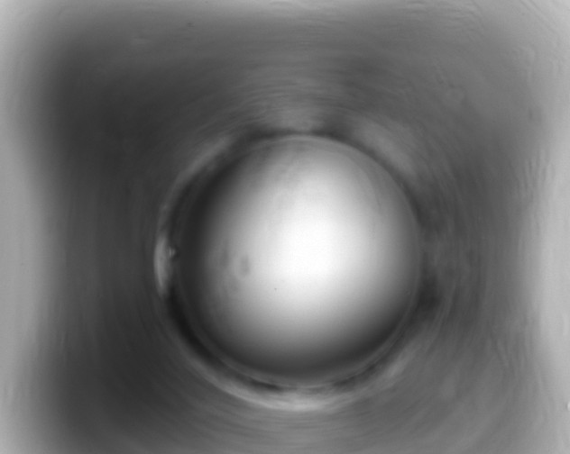 X0000099580020200805231600