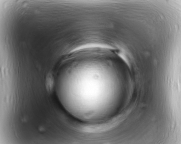 X0000099580021200805231600