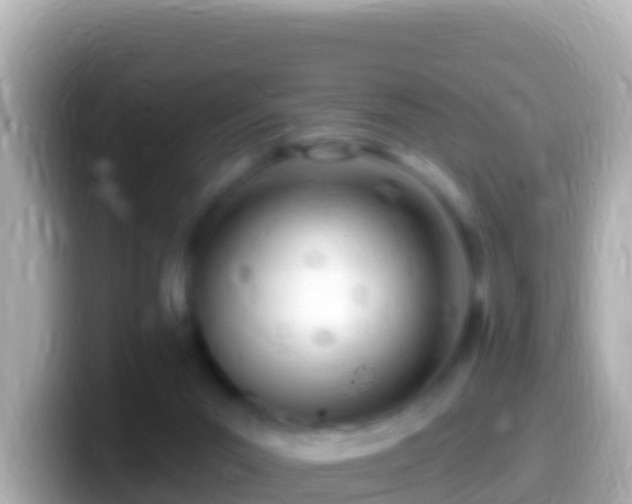 X0000099580023200805231559