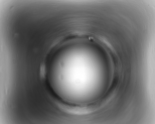 X0000099580024200805231559