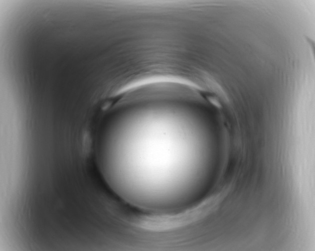 X0000099580025200805231559