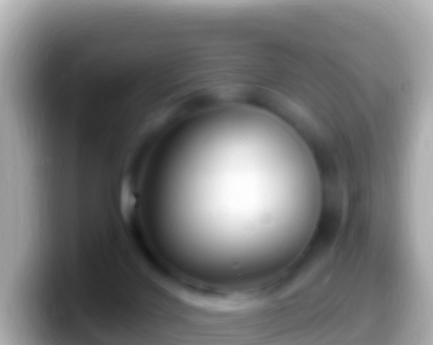 X0000099580028200805231559