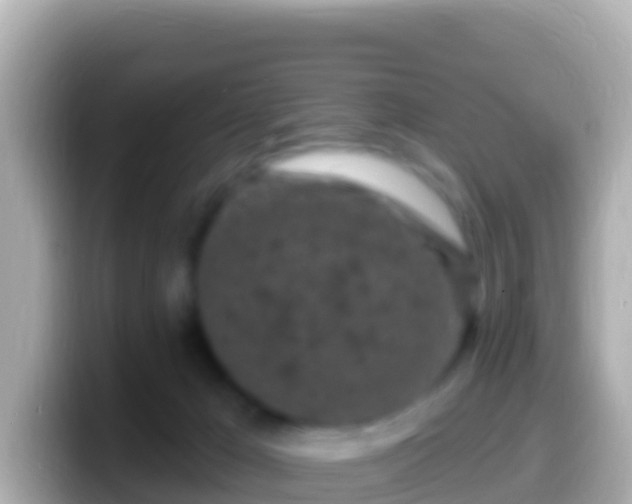 X0000099580029200805231559