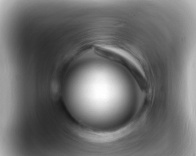 X0000099580031200805231559