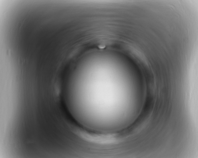 X0000099580032200805231559