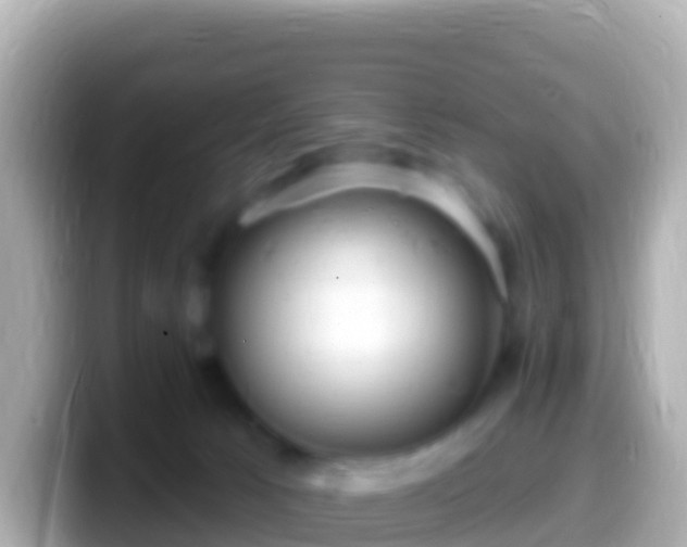 X0000099580033200805231559