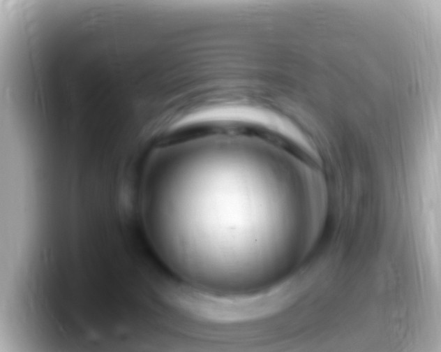 X0000099580035200805231559