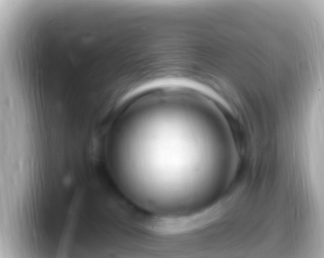 X0000099580037200805231559