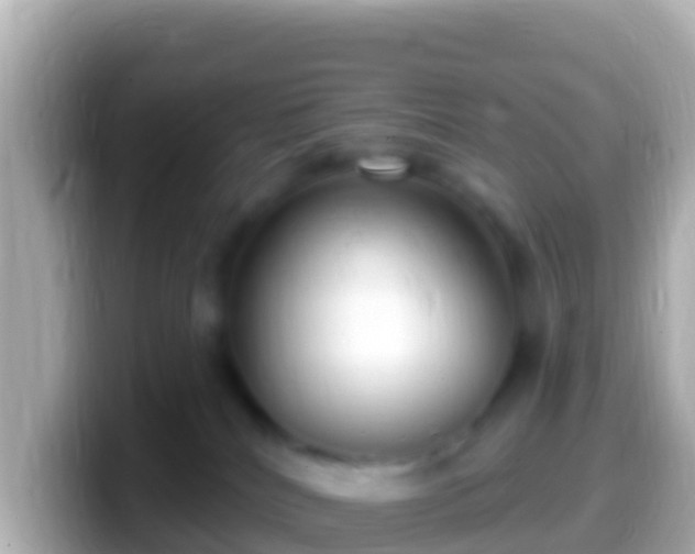 X0000099580040200805231559