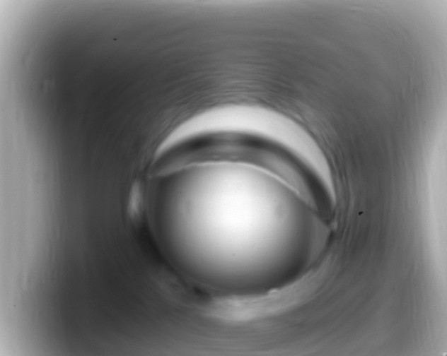 X0000099580041200805231559