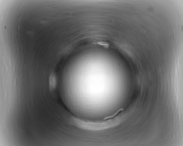 X0000099580042200805231559