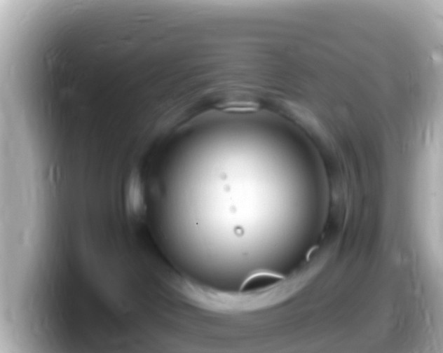 X0000099580046200805231559