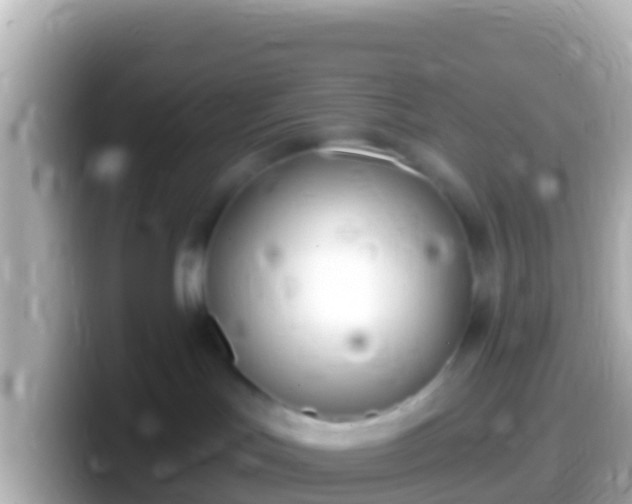 X0000099580047200805231559