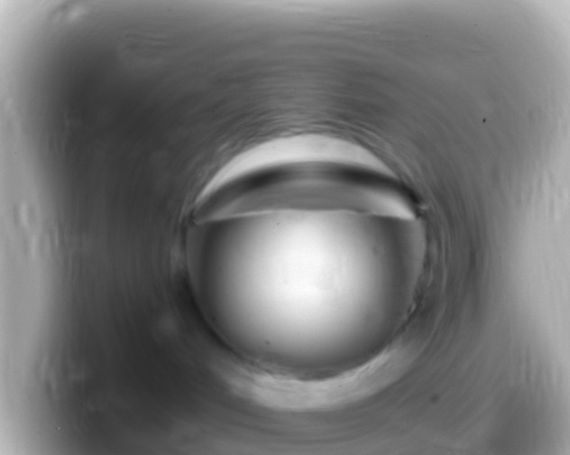 X0000099580048200805231559