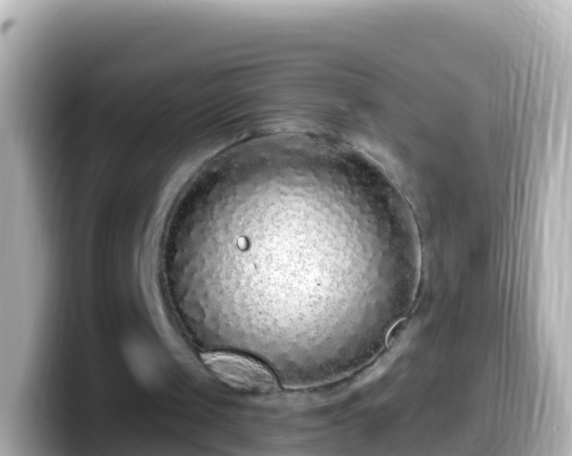 X0000099580049200805231559