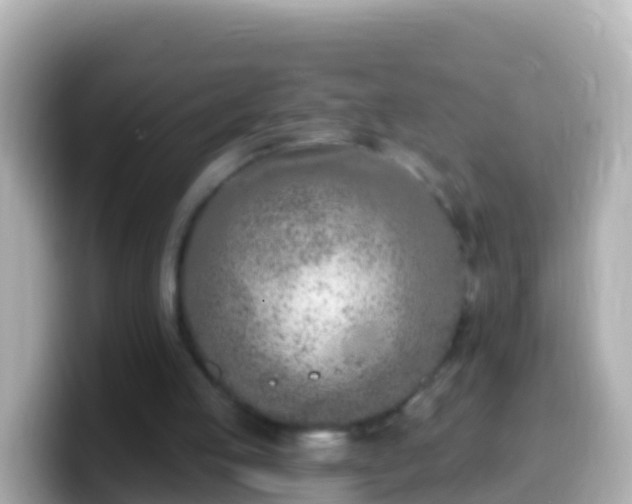 X0000099580053200805231559