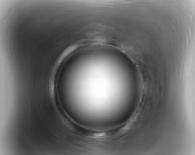 X0000099580054200805231559