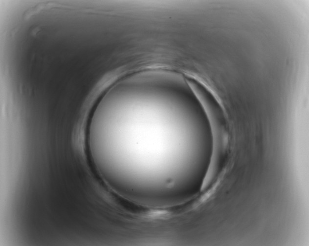 X0000099580055200805231559