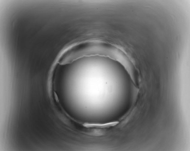 X0000099580056200805231559