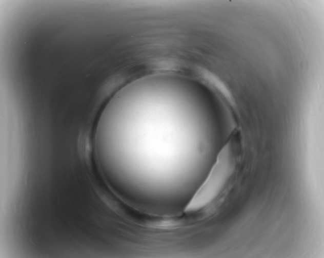 X0000099580059200805231559