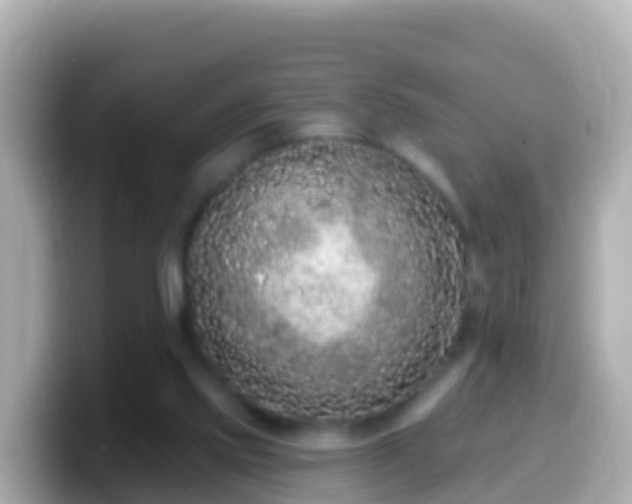 X0000099580061200805231559