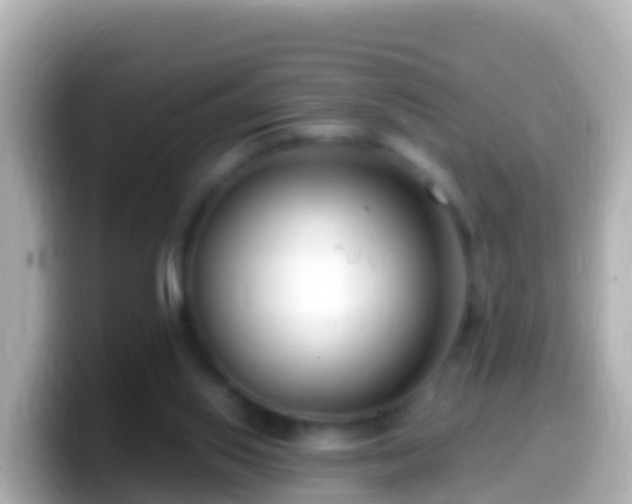 X0000099580062200805231559