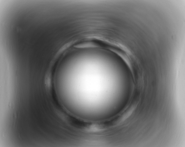 X0000099580064200805231559