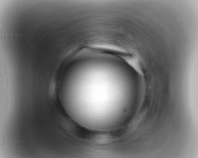 X0000099580066200805231559