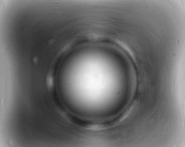 X0000099580067200805231559