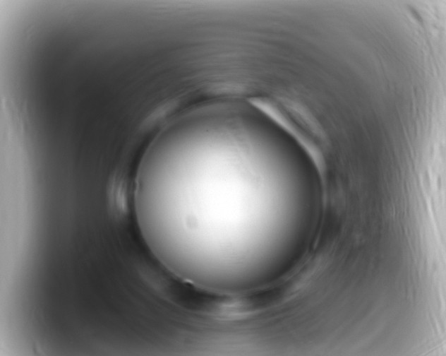 X0000099580068200805231559