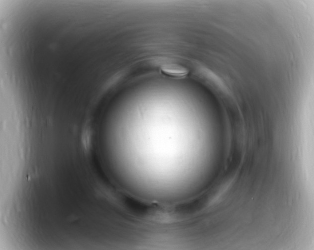 X0000099580071200805231559