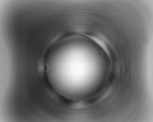 X0000099580072200805231559