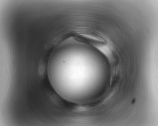 X0000099580073200805231559