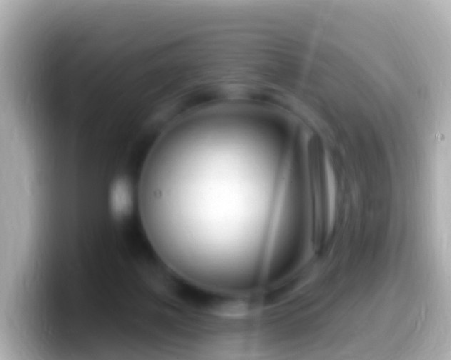 X0000099580075200805231559