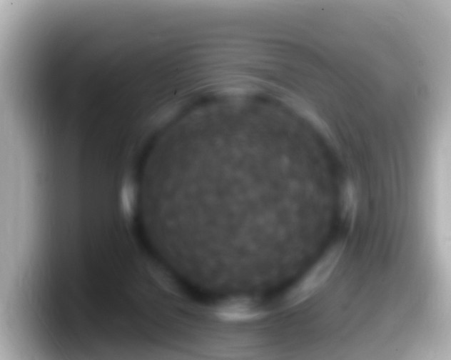 X0000099580076200805231559