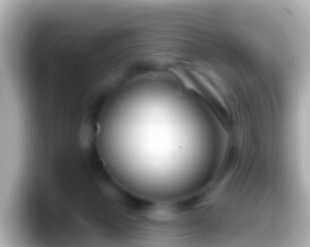 X0000099580077200805231559