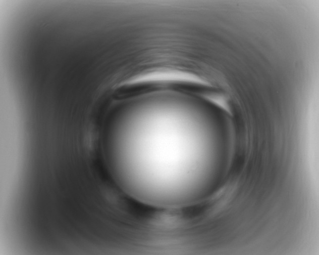 X0000099580078200805231559