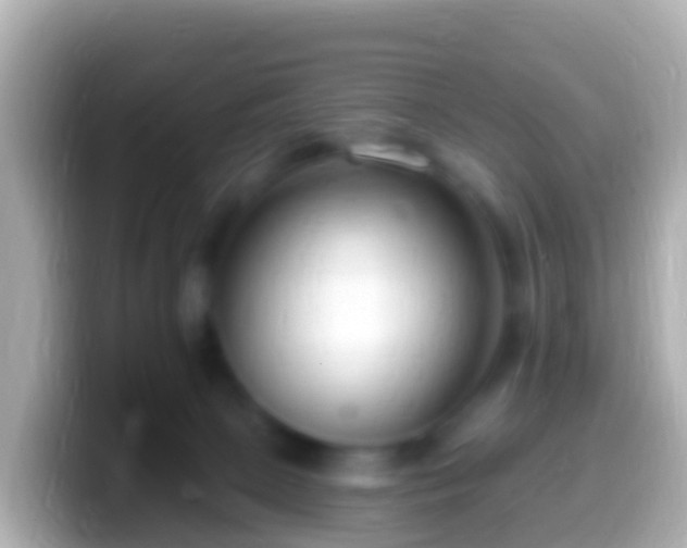 X0000099580081200805231559