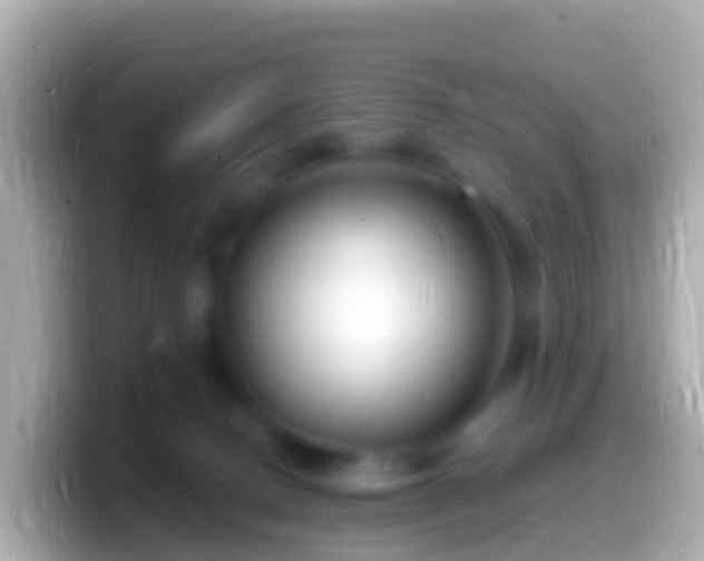 X0000099580082200805231559