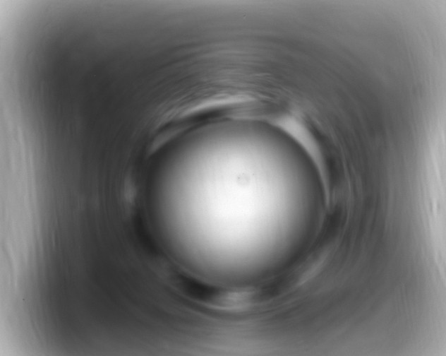 X0000099580084200805231559