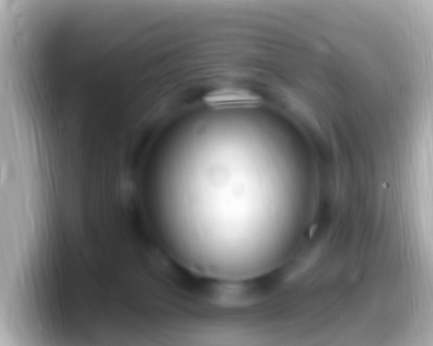 X0000099580085200805231559