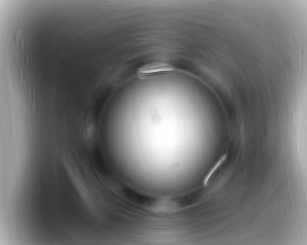 X0000099580087200805231559